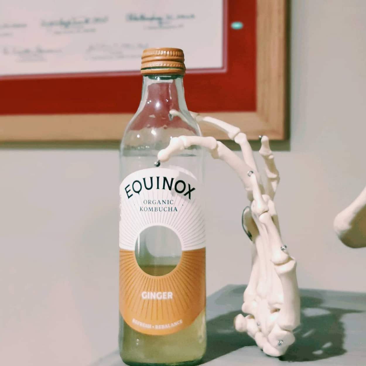 Equinox Organic Kombucha. A great organic ginger drink to keep you healthy during the winter. Health advice from Biddenden Chiropractic.